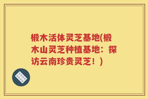 椴木活体灵芝基地(椴木山灵芝种植基地：探访云南珍贵灵芝！)
