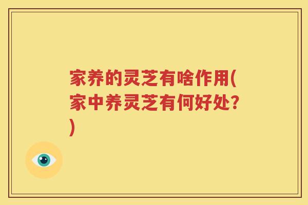 家养的灵芝有啥作用(家中养灵芝有何好处？)