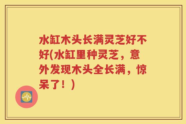 水缸木头长满灵芝好不好(水缸里种灵芝，意外发现木头全长满，惊呆了！)