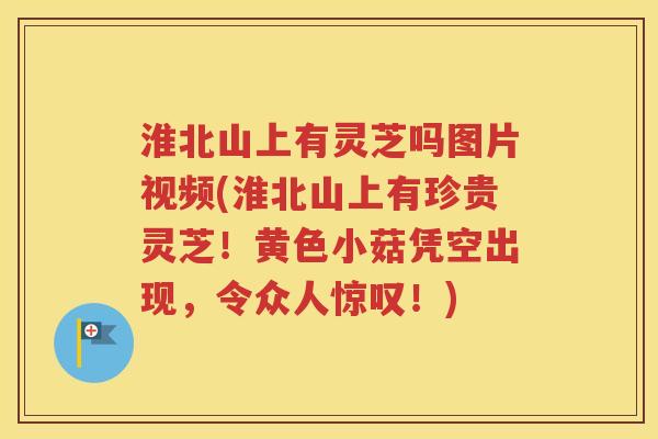 淮北山上有灵芝吗图片视频(淮北山上有珍贵灵芝！黄色小菇凭空出现，令众人惊叹！)