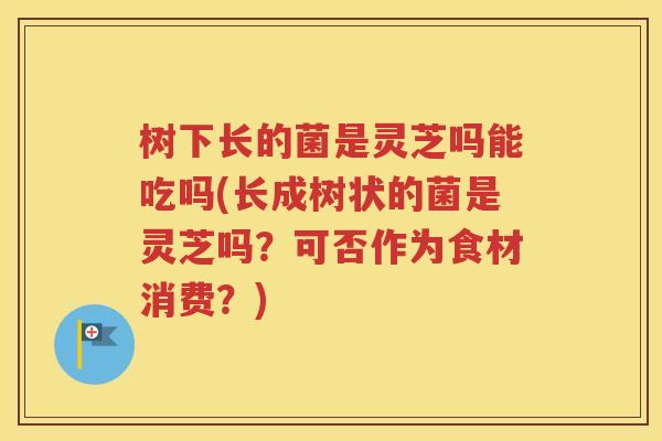 树下长的菌是灵芝吗能吃吗(长成树状的菌是灵芝吗？可否作为食材消费？)