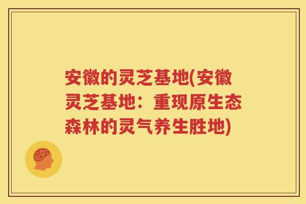 安徽的灵芝基地(安徽灵芝基地：重现原生态森林的灵气养生胜地)