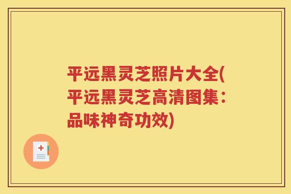 平远黑灵芝照片大全(平远黑灵芝高清图集：品味神奇功效)