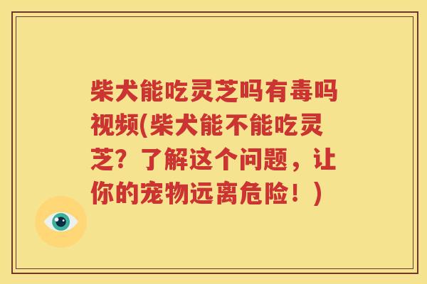 柴犬能吃灵芝吗有毒吗视频(柴犬能不能吃灵芝？了解这个问题，让你的宠物远离危险！)