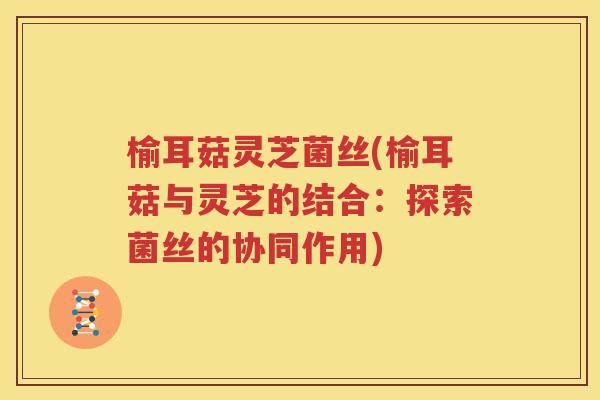 榆耳菇灵芝菌丝(榆耳菇与灵芝的结合：探索菌丝的协同作用)