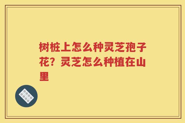 树桩上怎么种灵芝孢子花？灵芝怎么种植在山里