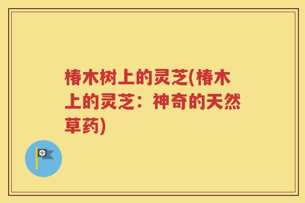 椿木树上的灵芝(椿木上的灵芝：神奇的天然草药)