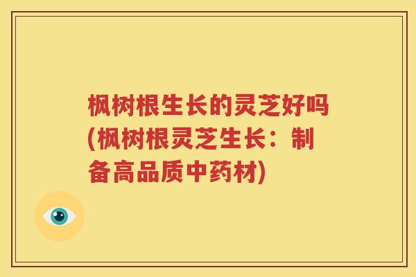 枫树根生长的灵芝好吗(枫树根灵芝生长：制备高品质中药材)