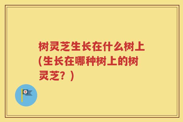树灵芝生长在什么树上(生长在哪种树上的树灵芝？)