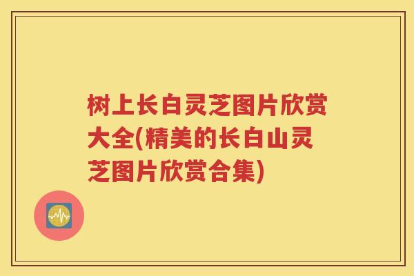 树上长白灵芝图片欣赏大全(精美的长白山灵芝图片欣赏合集)