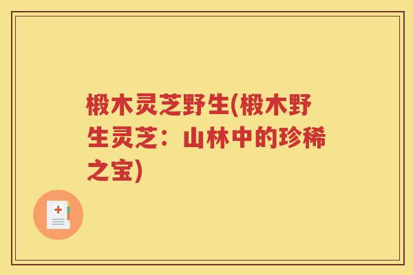 椴木灵芝野生(椴木野生灵芝：山林中的珍稀之宝)