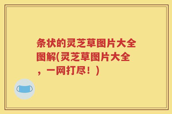 条状的灵芝草图片大全图解(灵芝草图片大全，一网打尽！)