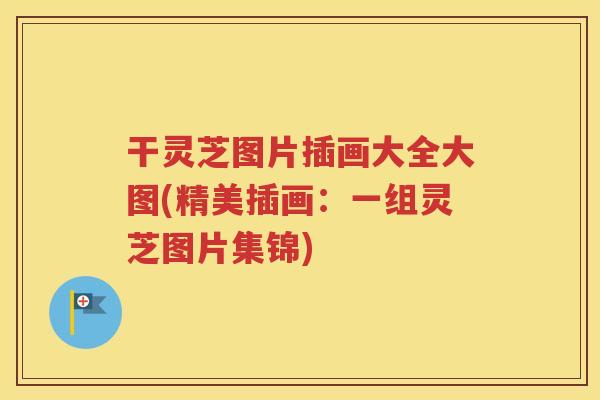 干灵芝图片插画大全大图(精美插画：一组灵芝图片集锦)