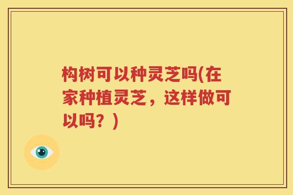 构树可以种灵芝吗(在家种植灵芝，这样做可以吗？)
