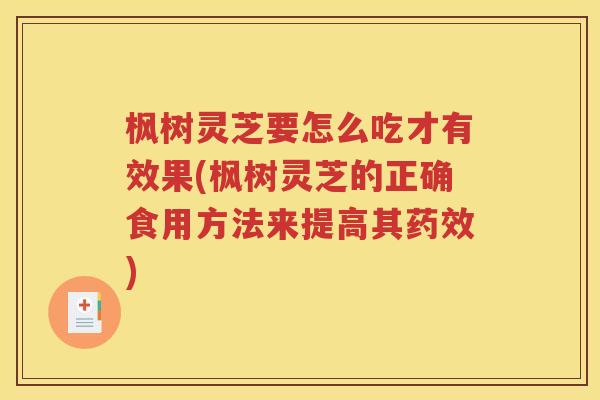 枫树灵芝要怎么吃才有效果(枫树灵芝的正确食用方法来提高其药效)