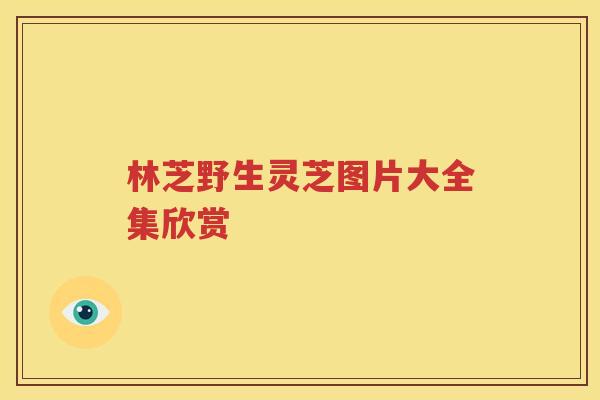 林芝野生灵芝图片大全集欣赏