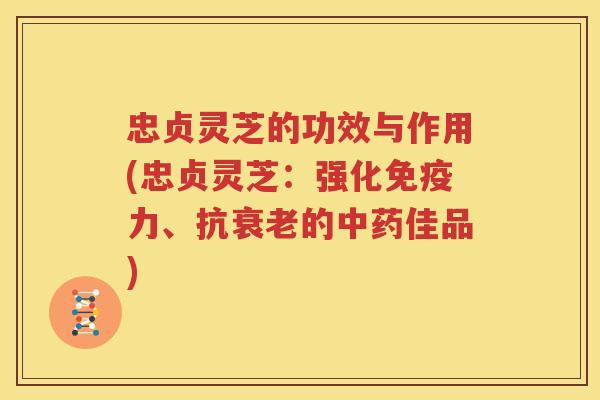 忠贞灵芝的功效与作用(忠贞灵芝：强化免疫力、抗衰老的中药佳品)