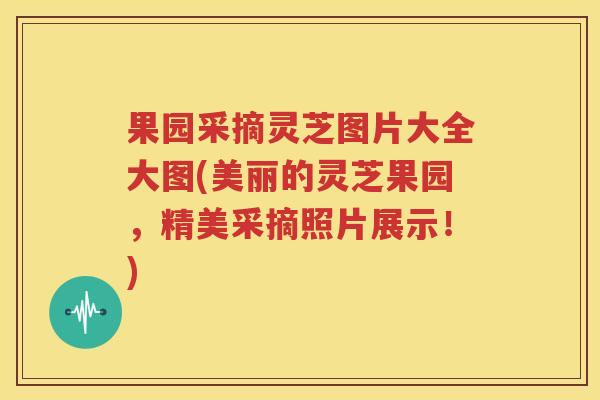 果园采摘灵芝图片大全大图(美丽的灵芝果园，精美采摘照片展示！)