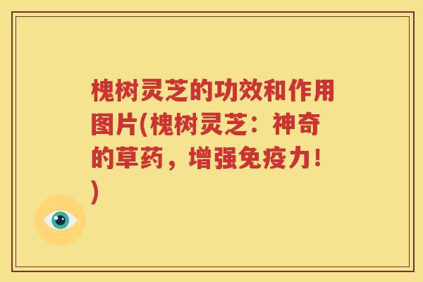 槐树灵芝的功效和作用图片(槐树灵芝：神奇的草药，增强免疫力！)