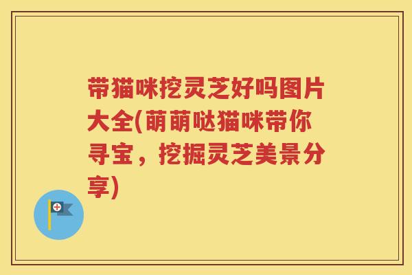 带猫咪挖灵芝好吗图片大全(萌萌哒猫咪带你寻宝，挖掘灵芝美景分享)