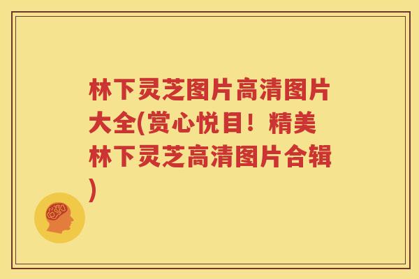 林下灵芝图片高清图片大全(赏心悦目！精美林下灵芝高清图片合辑)