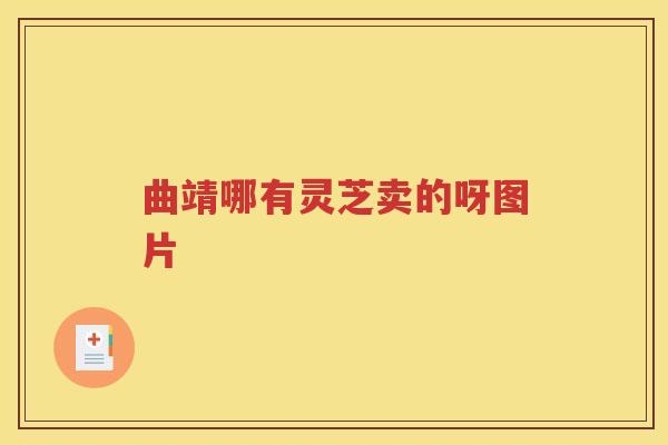 曲靖哪有灵芝卖的呀图片