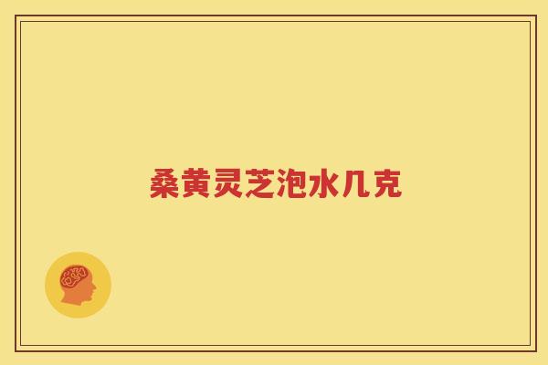 桑黄灵芝泡水几克