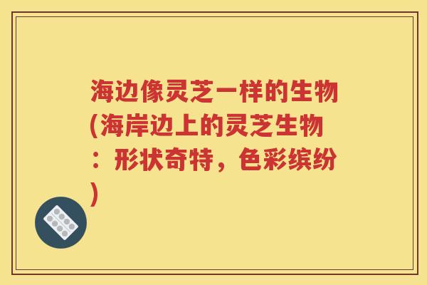海边像灵芝一样的生物(海岸边上的灵芝生物：形状奇特，色彩缤纷)