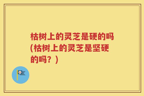 枯树上的灵芝是硬的吗(枯树上的灵芝是坚硬的吗？)