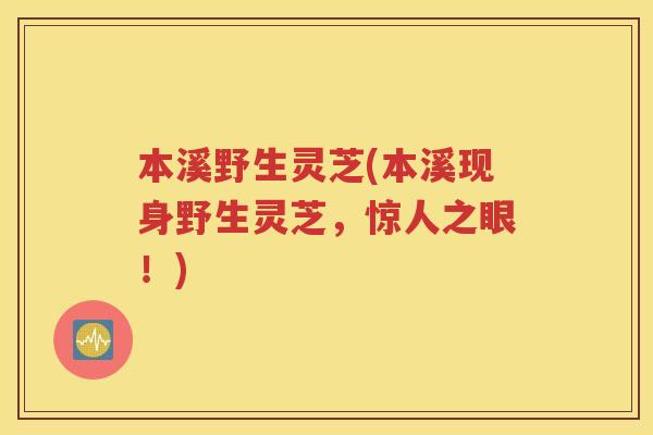 本溪野生灵芝(本溪现身野生灵芝，惊人之眼！)