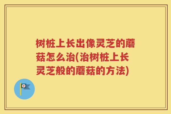树桩上长出像灵芝的蘑菇怎么治(治树桩上长灵芝般的蘑菇的方法)