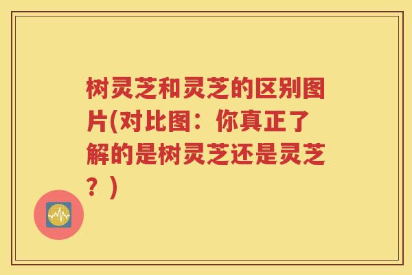 树灵芝和灵芝的区别图片(对比图：你真正了解的是树灵芝还是灵芝？)