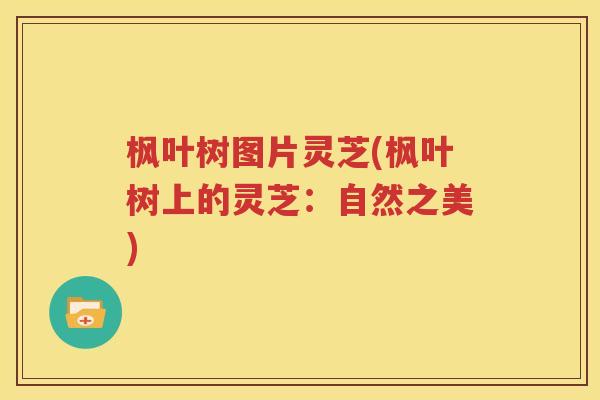 枫叶树图片灵芝(枫叶树上的灵芝：自然之美)