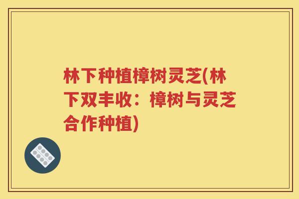林下种植樟树灵芝(林下双丰收：樟树与灵芝合作种植)