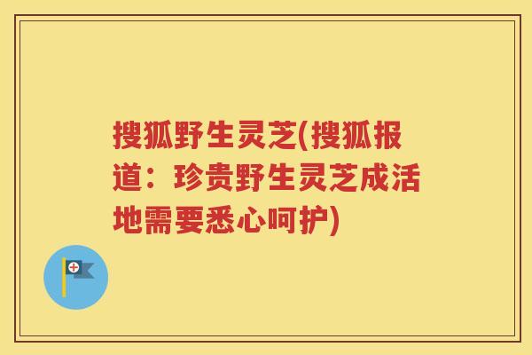 搜狐野生灵芝(搜狐报道：珍贵野生灵芝成活地需要悉心呵护)