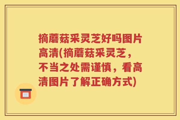 摘蘑菇采灵芝好吗图片高清(摘蘑菇采灵芝，不当之处需谨慎，看高清图片了解正确方式)