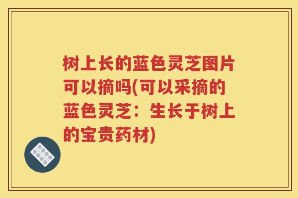 树上长的蓝色灵芝图片可以摘吗(可以采摘的蓝色灵芝：生长于树上的宝贵药材)