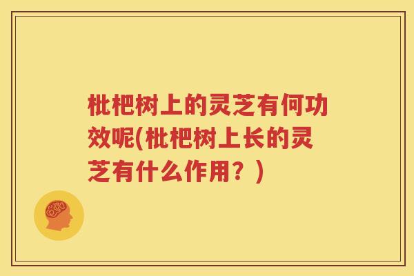 枇杷树上的灵芝有何功效呢(枇杷树上长的灵芝有什么作用？)