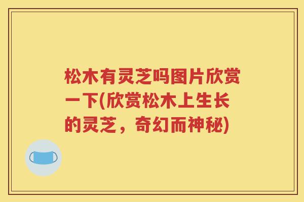 松木有灵芝吗图片欣赏一下(欣赏松木上生长的灵芝，奇幻而神秘)