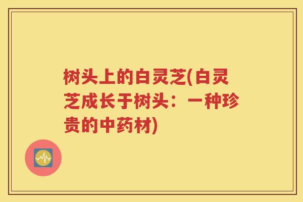 树头上的白灵芝(白灵芝成长于树头：一种珍贵的中药材)