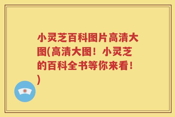 小灵芝百科图片高清大图(高清大图！小灵芝的百科全书等你来看！)