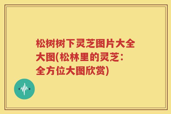 松树树下灵芝图片大全大图(松林里的灵芝：全方位大图欣赏)