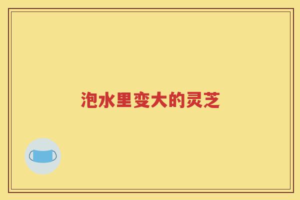 泡水里变大的灵芝