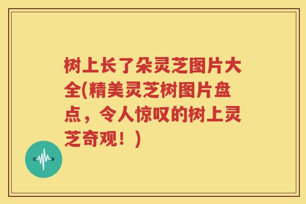 树上长了朵灵芝图片大全(精美灵芝树图片盘点，令人惊叹的树上灵芝奇观！)