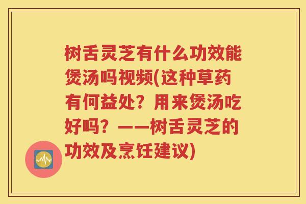 树舌灵芝有什么功效能煲汤吗视频(这种草药有何益处？用来煲汤吃好吗？——树舌灵芝的功效及烹饪建议)