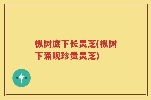 枞树底下长灵芝(枞树下涌现珍贵灵芝)