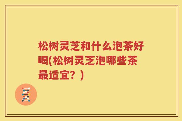 松树灵芝和什么泡茶好喝(松树灵芝泡哪些茶最适宜？)