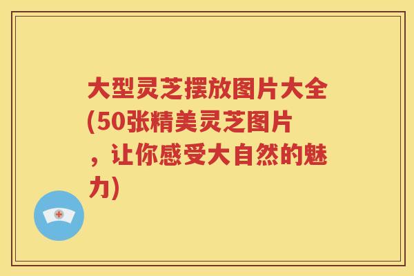 大型灵芝摆放图片大全(50张精美灵芝图片，让你感受大自然的魅力)
