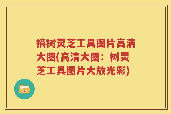 摘树灵芝工具图片高清大图(高清大图：树灵芝工具图片大放光彩)