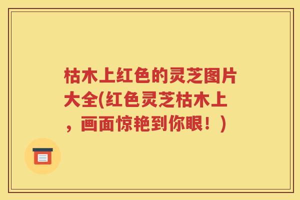 枯木上红色的灵芝图片大全(红色灵芝枯木上，画面惊艳到你眼！)